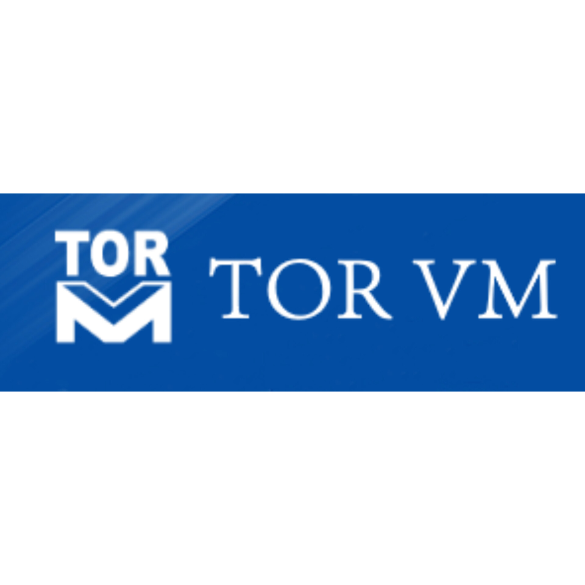 تور وی ام TORVM